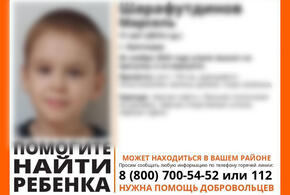 Ребенок вышел на прогулку и не вернулся