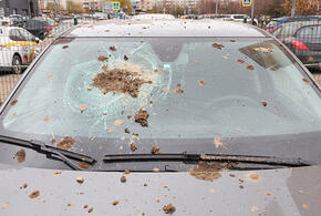 В Краснодаре обломки БПЛА повредили остекление и крыши жилых домов и бизнес-центра