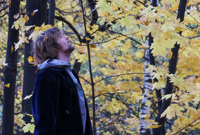 Полиция начала проверку