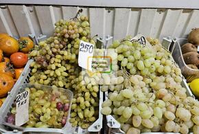 Все гнилое и дорогое