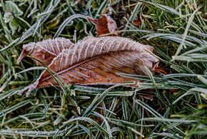 На что следует обращать внимание