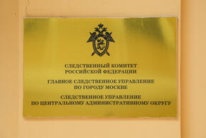 Возбуждено уголовное дело