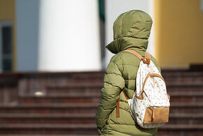 16-летняя девушка пыталась совершить теракт у административного здания на юге России