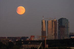 Астроном призвал землян готовиться к событию под названием Чёрный лебедь, неожиданная погода ждёт Краснодарский край на выходных: ТОП-10 за неделю
