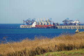 Почти четыре тысячи проб не выявили превышений загрязнений