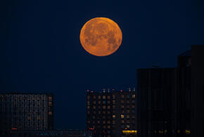 Гороскоп на 4 декабря для всех знаков зодиака от «Живой Кубани»