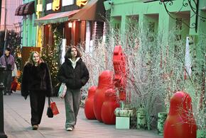 Бойтесь «новогодних выплат для многодетных» - это могут быть мошенники