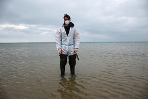 Будет ли Черное море пригодным для купания через 10 лет: что об этом известно исследователям?