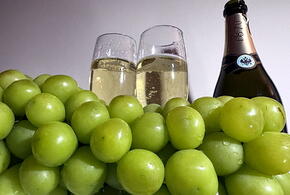 Ценник быстро растет: стало известно, сколько россияне намерены потратить на алкоголь к новогоднему столу