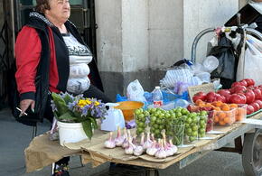Чем выгодно закупиться: актуальные цены на продукты в Краснодарском крае