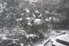 До 15 см снега: в Сочи готовятся к предновогодней непогоде