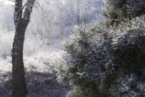 Два человека погибли в результате атаки ВСУ на Саратов, страны ЕС заморозят российские активы на 210 миллиардов евро: что произошло, пока вы спали