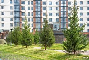 Экологичный ноябрь с DOGMA: новые деревья появились в микрорайоне «Парк Победы»