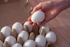 Эксперт рассказал, какие товары и услуги подорожают первыми в новом году