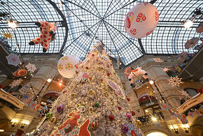 Эксперты выяснили, сколько краснодарцы готовы потратить на новогоднее украшение дома