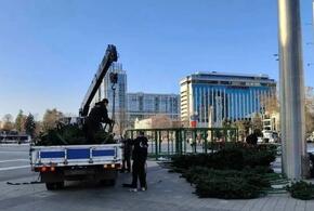 Это уже скоро: в Краснодаре начали устанавливать 22-метровую главную елку