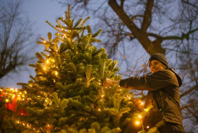 Почему праздники будут тихими?