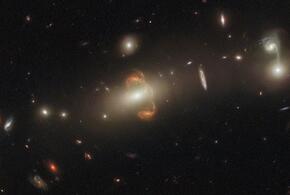  Гороскоп на неделю с 15 по 21 декабря 2025 года от «Живой Кубани»