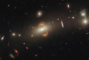 Гороскоп на неделю с 29 декабря 2025 по 4 января 2026 года от «Живой Кубани»