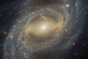 Гороскоп на неделю с 8 по 14 декабря от «Живой Кубани»