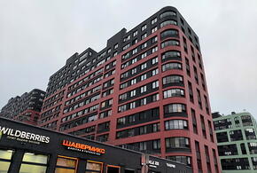 И конуры не купишь: материнский капитал за 10 лет обесценился вдвое