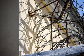 Инвалид-колясочник несколько лет насиловал маленькую падчерицу и продавал порнографические видео с участием ребенка