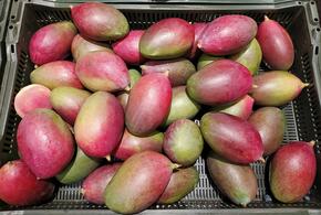 Рассказываем об уходе за растением