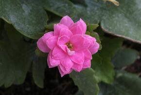 Расскажем о секретах посадки