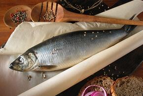 Какую очень полезную рыбу нужно включить в зимний рацион? Она продается в наших магазинах недорого