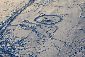 Когда пойдёт снег в Краснодарском крае и будет ли на Новый год