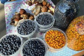 Кому можно и нельзя есть облепиху