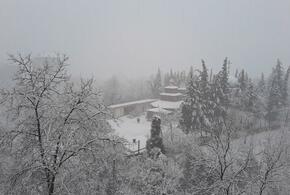 Красная икра стремительно дешевеет, на Кубани поезда стоят из-за снегопадов: ТОП-5 за 31 декабря