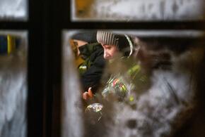 Ларису Долину могут выкинуть на улицу, ядовитая змея год прожила в доме кубанки, хотя её не заводили: ТОП-5 за 18 декабря 