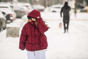 Метели и мороз до минус 12: синоптики предупредили о вторжении циклона из Арктики на Кубань в предновогодние дни