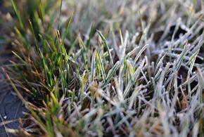 Мы собрали для вас новости, которые обязательно надо обсудить с коллегами, друзьями или родственниками