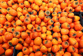 Расскажем, что происходит с организмом