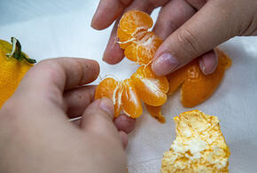 На Кубань завезли импортные мандарины с личинками