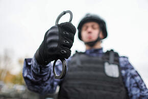 На Кубани и в других российских регионах задержали граждан РФ, которые по заданию спецслужб Украины поджигали автомобили правоохранителей и пытались повредить промышленные объекты