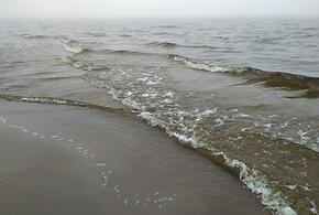 Не могут выбраться: полгода российские моряки находятся в заточении на иностранном корабле