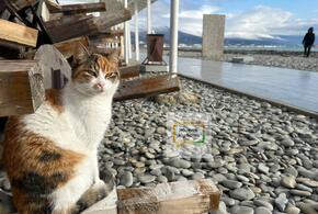 Неожиданная погода ждёт жителей краснодарского края на выходных