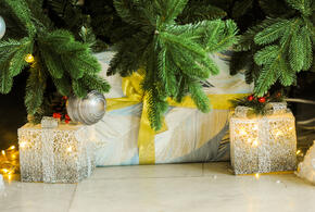 Неожиданные подарки, которые желают кубанцы на Новый год 