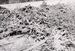 Неужели это случится на Новый год? Сильный снегопад и жуткий гололед обещают синоптики в Краснодаре в ближайшие дни