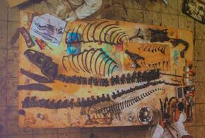 Новые следы динозавров обнаружили в Китае