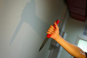 Один ребенок убит, трое ранены: подросток с ножом напал на элитную школу