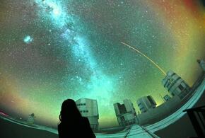 Овны усомнятся в своих силах, Весы будут очень заняты на работе