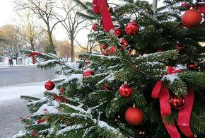 Овны увидят вещие сны, Козероги ощутят комфорт и умиротворение