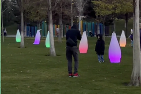 «Пингвины и дебилы»: поклонники парка Галицкого в Краснодаре разразились ругательствами в адрес желающих сделать фото прямо на газоне