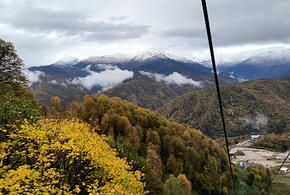 Платный вход для детей и скандальное строительство железной дороги: в Сочинском нацпарке нашли финансовые нарушения на 3 мдрд рублей