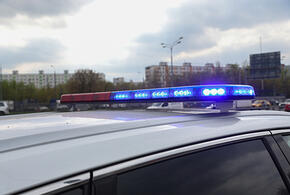 Под колесами грузовика погиб 82-летний пешеход в Сочи