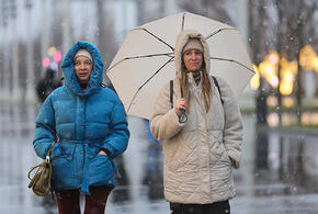 Погода на неделю с 15 по 21 декабря в Краснодарском крае